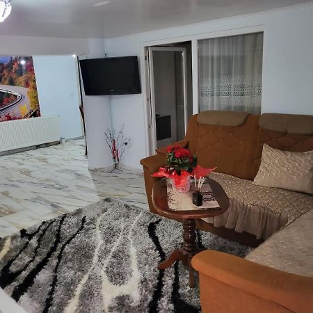Apartament Cu Terasa Si Gratar Apartment Сату Маре Екстериор снимка