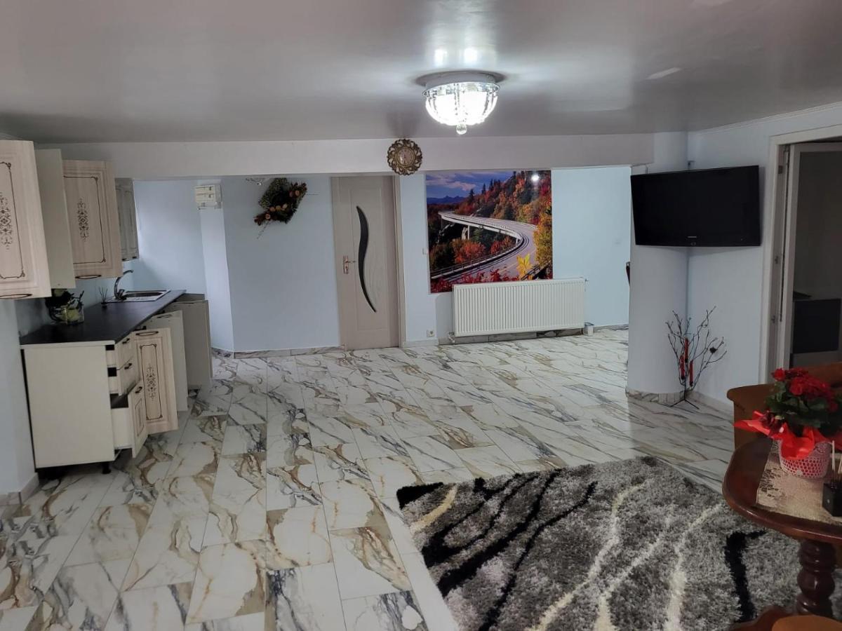 Apartament Cu Terasa Si Gratar Apartment Сату Маре Екстериор снимка